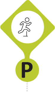 physical_fitness